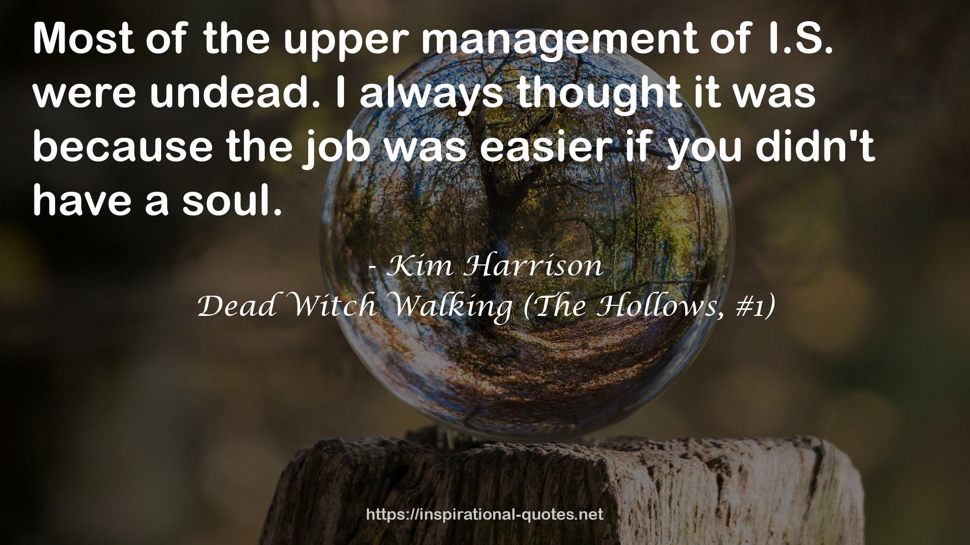 Dead Witch Walking (The Hollows, #1) QUOTES