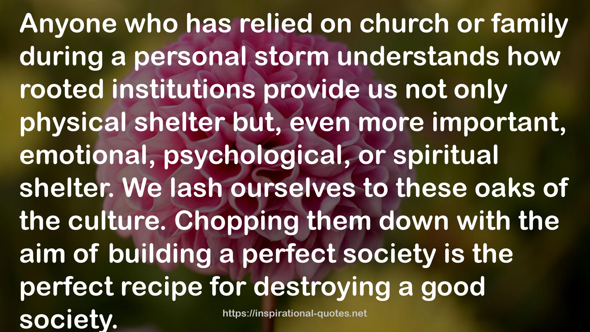 Suicide of the West: How the Rebirth of Tribalism, Populism, Nationalism, and Identity Politics Is Destroying American Democracy QUOTES