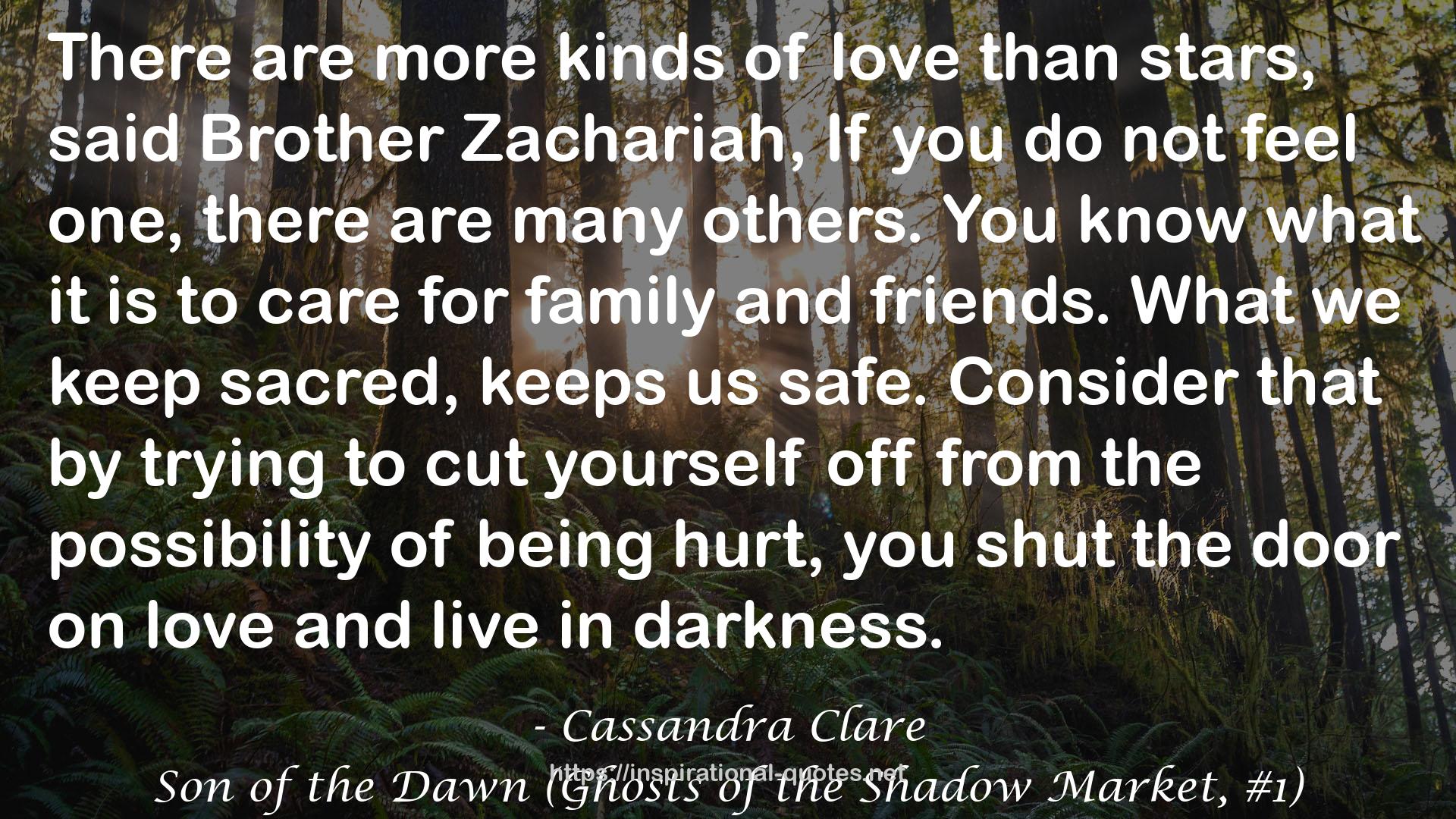 Son of the Dawn (Ghosts of the Shadow Market, #1) QUOTES