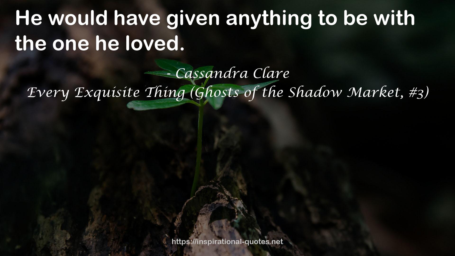 Every Exquisite Thing (Ghosts of the Shadow Market, #3) QUOTES