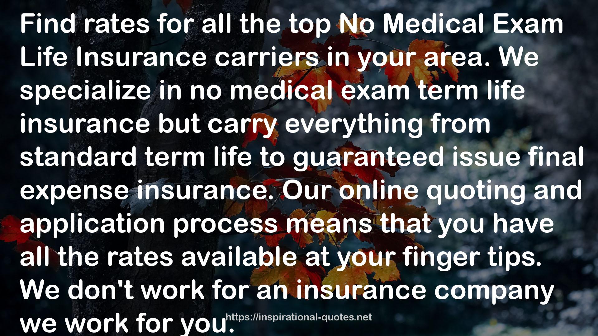 No Exam Life Insurance QUOTES