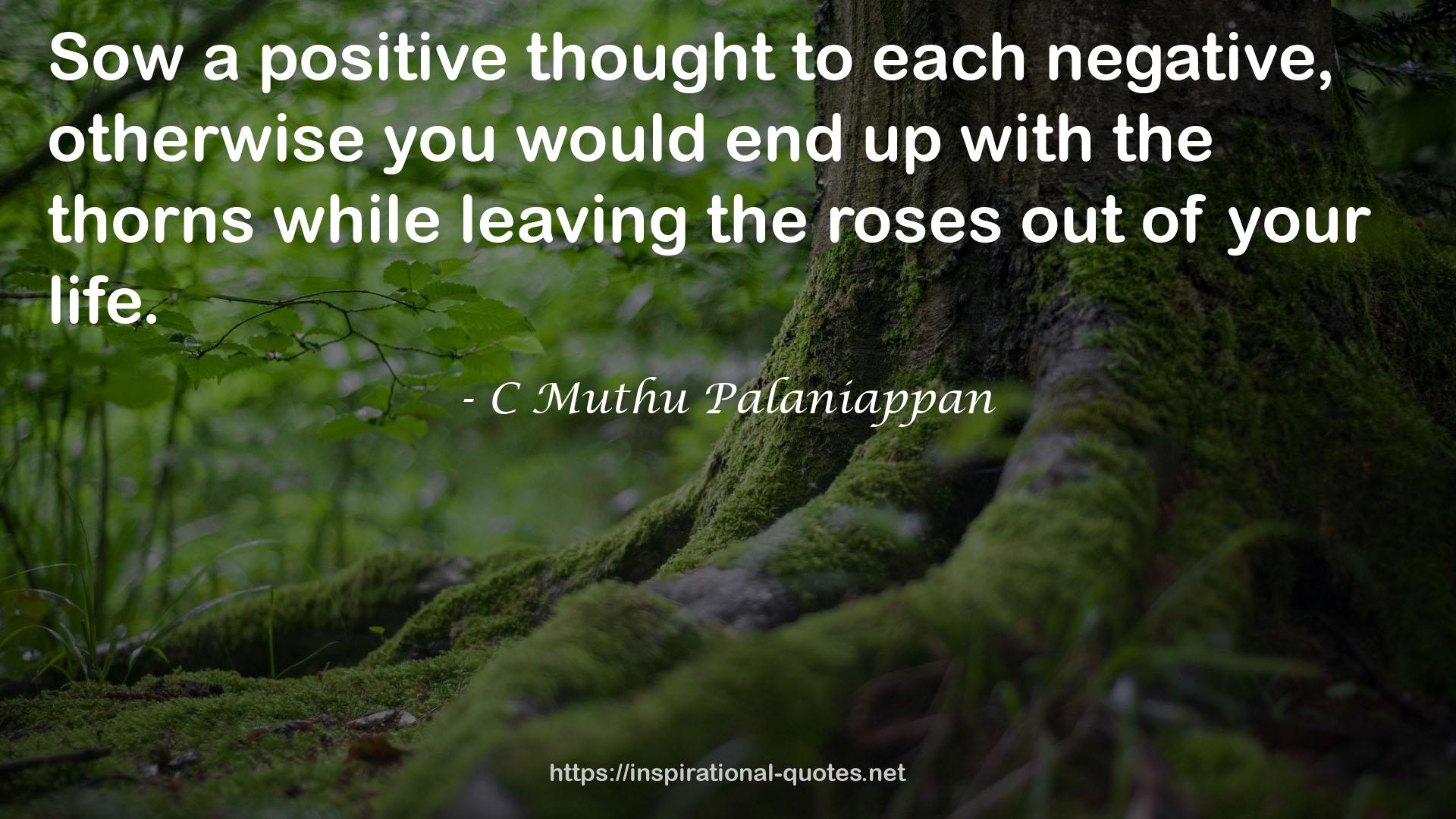 C Muthu Palaniappan QUOTES