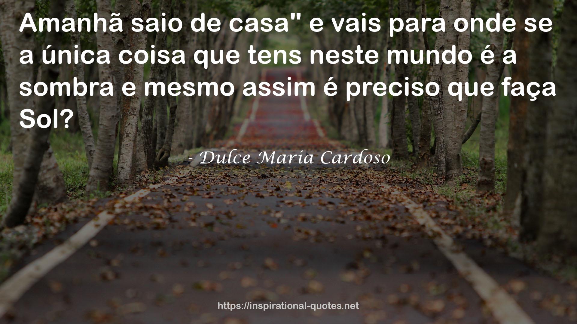 Dulce Maria Cardoso QUOTES