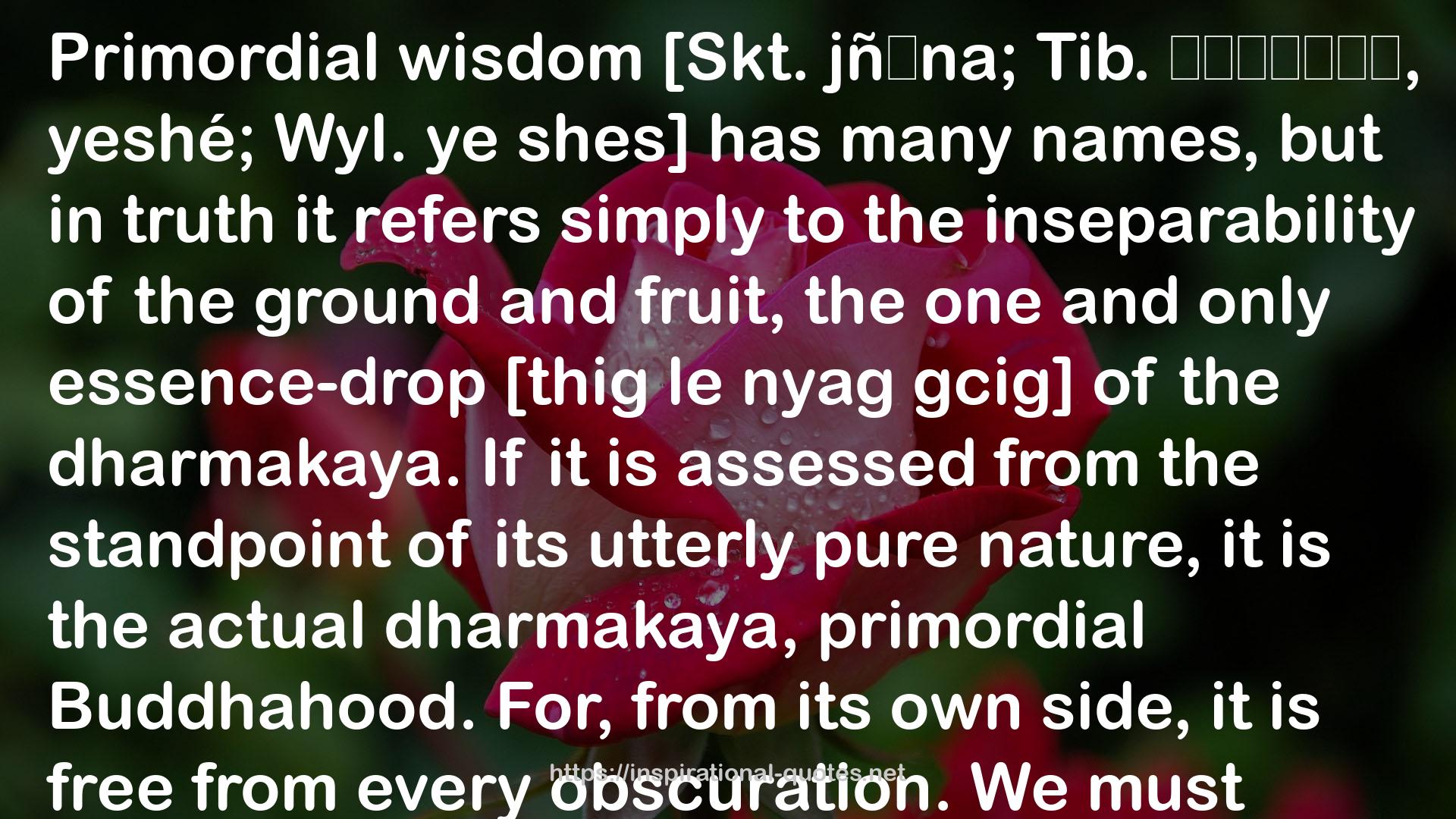 White Lotus: An Explanation of the Seven-line Prayer to Guru Padmasambhava QUOTES