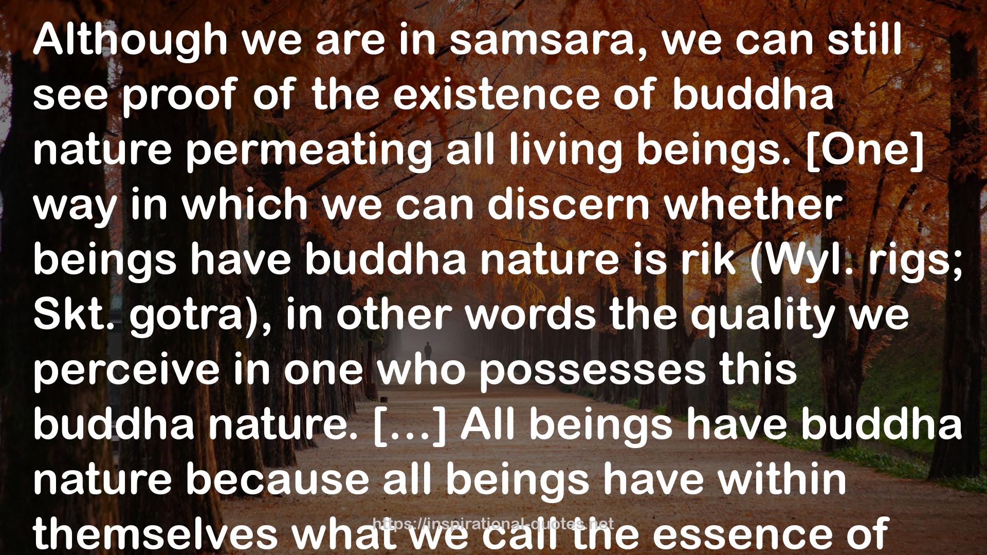 Path to Buddhahood: Teachings on Gampopa's Jewel Ornament of Liberation QUOTES