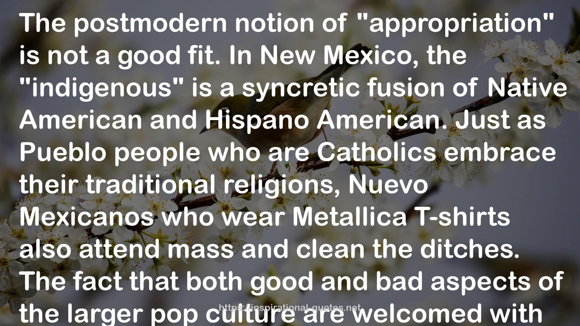 Nuevo Mexico Profundo: Rituals of an Indo-Hispano Homeland QUOTES