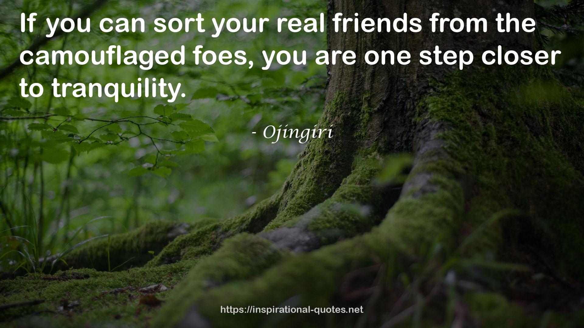 Ojingiri QUOTES