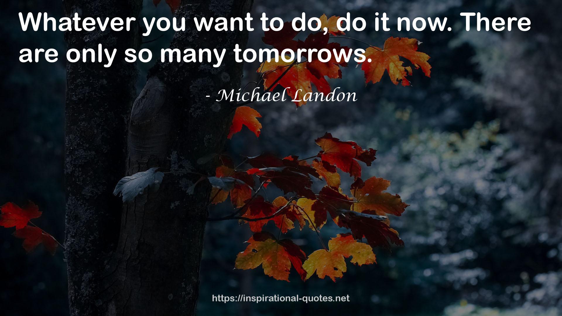 Michael Landon QUOTES