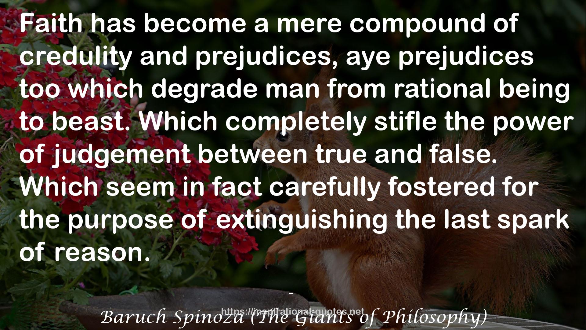 Baruch Spinoza (The Giants of Philosophy) QUOTES