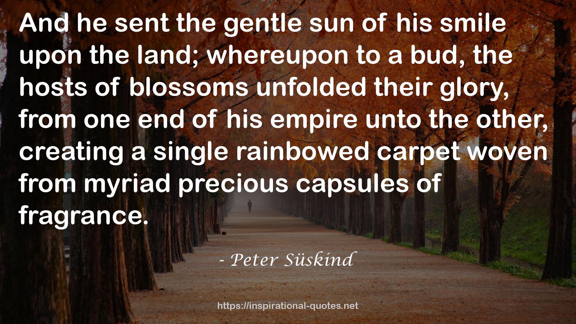 Peter Süskind QUOTES
